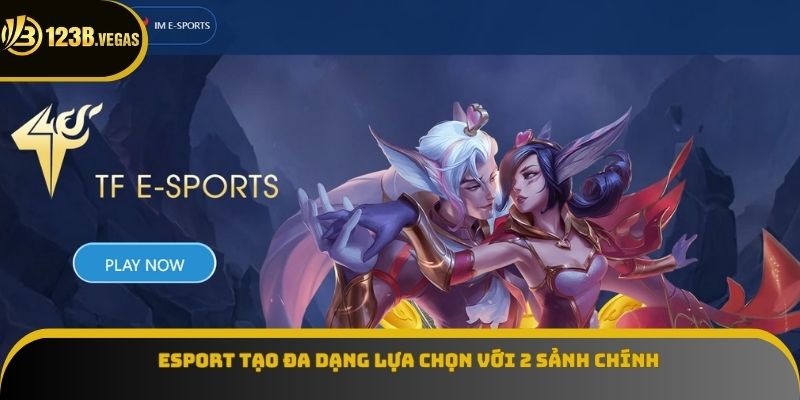 Esport tạo đa dạng lựa chọn với 2 sảnh chính 