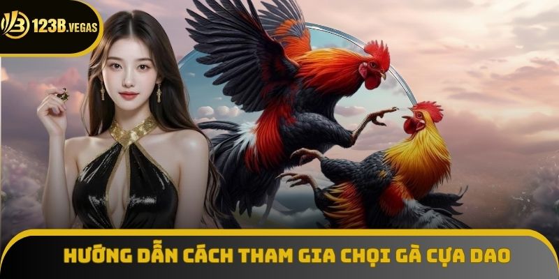 Hướng dẫn cách tham gia cá cược chọi gà cựa dao
