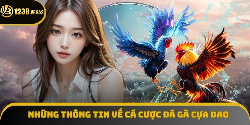 Những thông tin chung về cá cược đá gà cựa dao