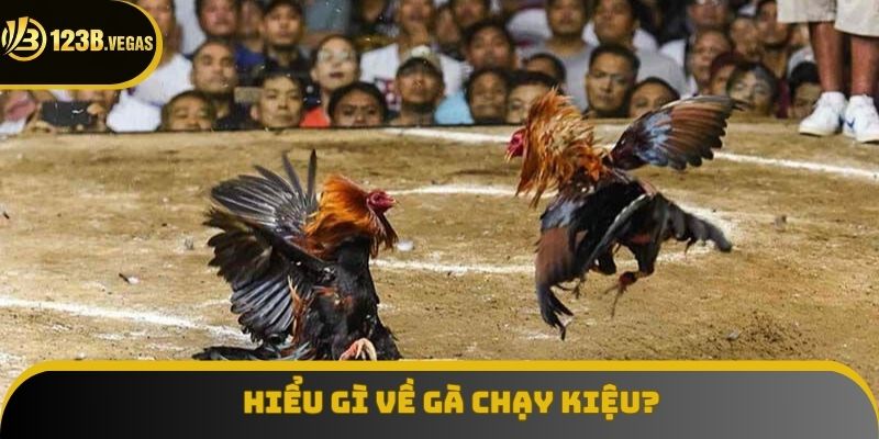Hiểu gì về gà chạy kiệu?