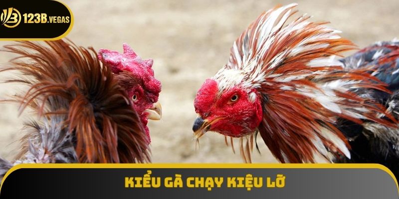 Cách đánh chủ đạo khi ra sân của gà chọi