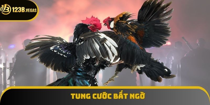 Tung cước bất ngờ là chiến thuật hấp dẫn