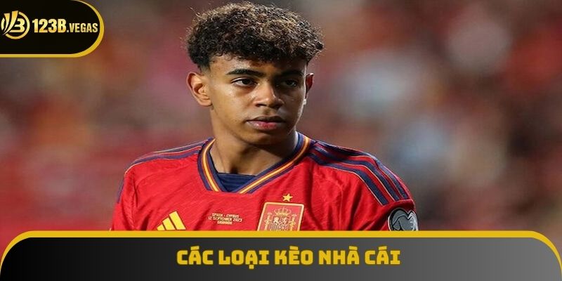 Các thể loại cá cược phổ biến nhất 2025