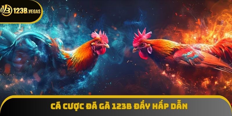 Tham gia cá cược chọi kê đầy thú vị