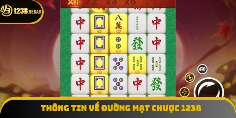 Vài thông tin tiêu biểu về Đường Mạt Chược 123B